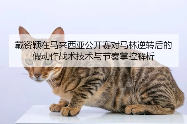 dai-zi-ying-zai-ma-lai-xi-ya-gong-kai-sai-dui-ma-lin-ni-zhuan-hou-de-jia-dong-zuo-zhan-shu-ji-shu-yu-jie-zou-zhang-kong-2-477.jpg