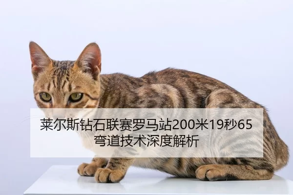 莱尔斯钻石联赛罗马站200米19秒65弯道技术深度解析