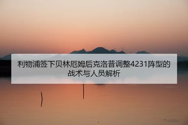 li-wu-pu-qian-xia-bei-lin-e-mu-hou-ke-luo-pu-tiao-zheng-zhen-xing-de-zhan-shu-yu-ren-yuan-jie-xi-2-999.jpg